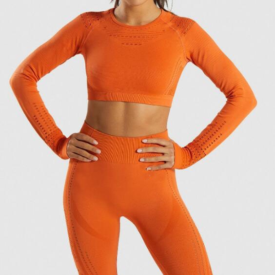 Women Seamless Yoga Sets Workout Clothes for Women Long Sleeve Crop Top Mesh Leggings Running Sport Suit Gym Clothing 2 Pieces