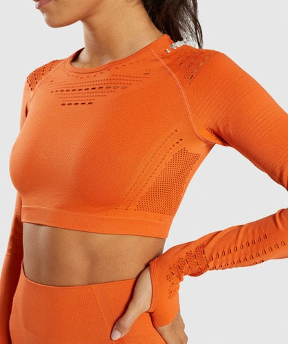 Women Seamless Yoga Sets Workout Clothes for Women Long Sleeve Crop Top Mesh Leggings Running Sport Suit Gym Clothing 2 Pieces